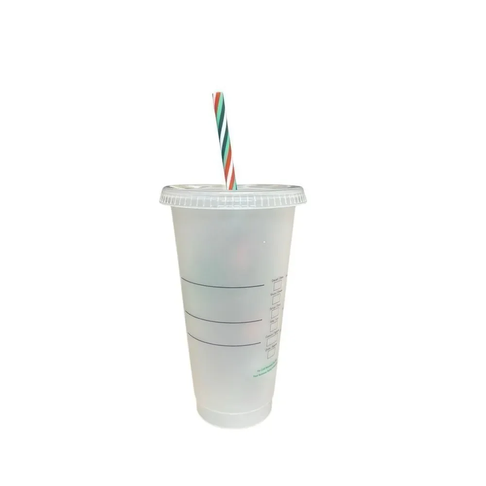 Starbucks Reusable Frosted Plastic Cold Cup With Lid and Straw